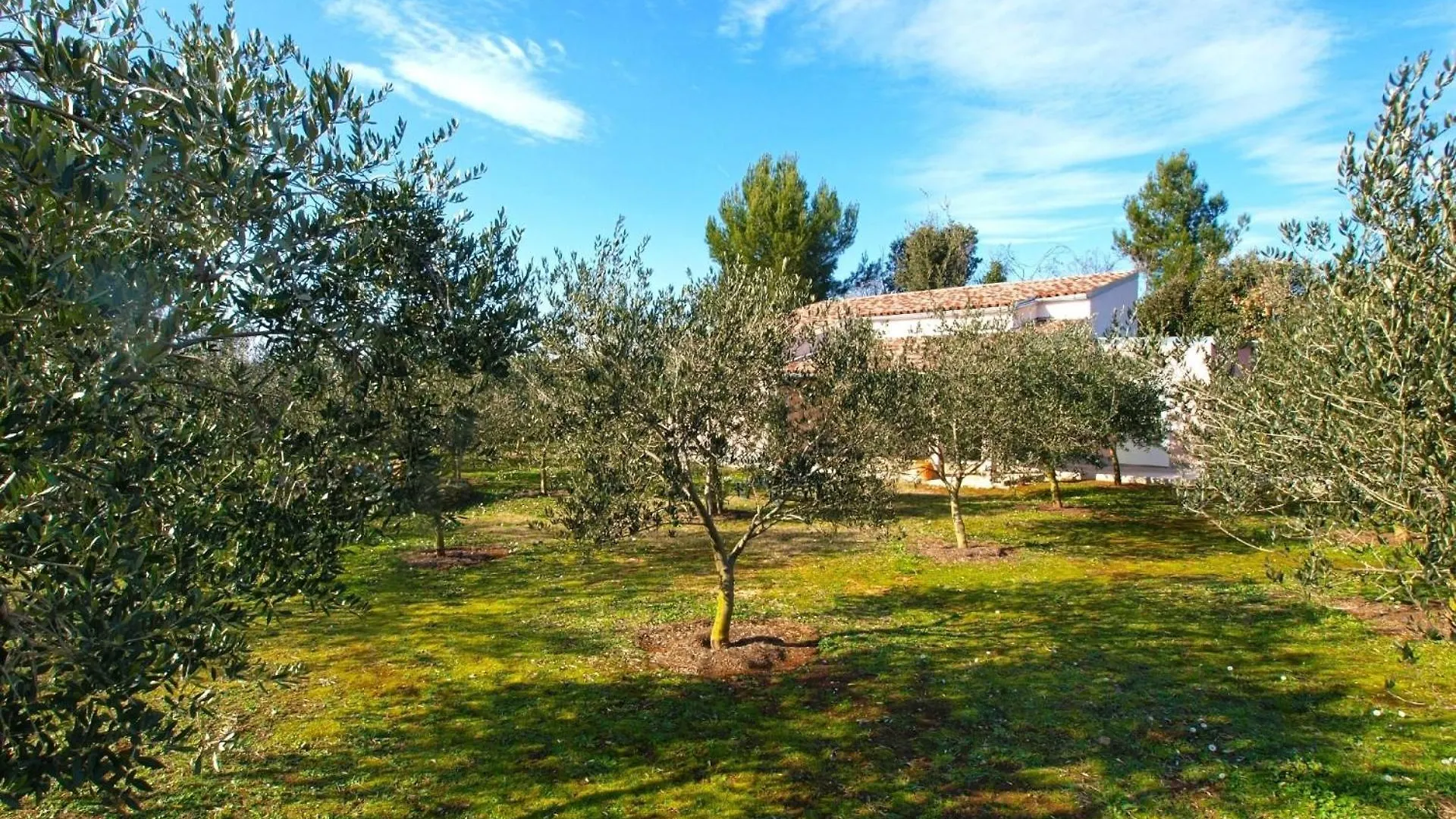 Ferienhaus Fuer 4 Personen Ca 50 Qm In Liznjan, Istrien Suedkueste Von Istrien 0*, Liznjan Croatia